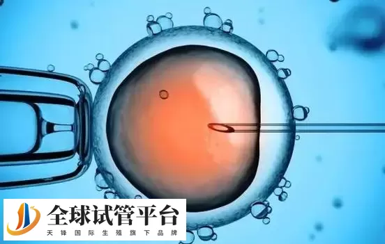 权威公布2024深圳生殖中心最好的医院：深圳市人民医院排在榜首