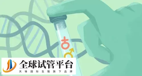 2024南宁试管助孕机构名单汇总，附成功率前三名推荐