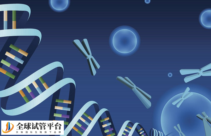 沈阳三代试管婴儿着床率高吗？附成功条件