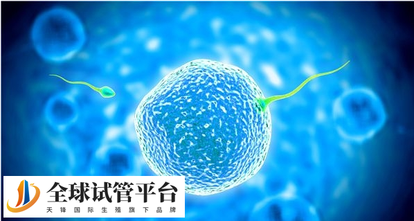 泰国试管婴儿技术排名：NIC生殖中心引领生育热潮！