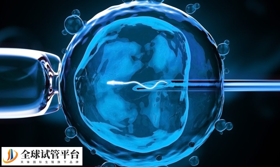 泰国试管婴儿机构技术如何？NIC生殖中心技术更可靠！