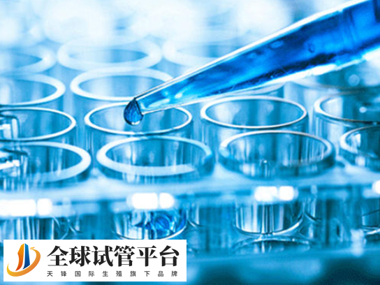 国内没有结婚证不可以做试管婴儿