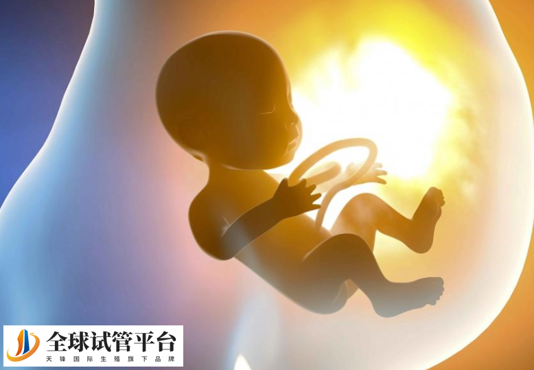 宿州试管婴儿医院哪家好_选择适合你的健康伴侣