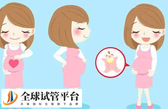 毫州第三代试管婴儿_突破医学边界的生命之光