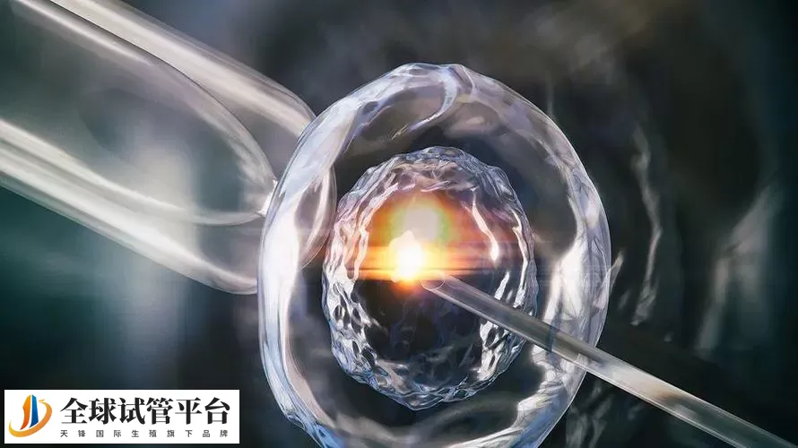 苏州试管婴儿有国家补贴吗