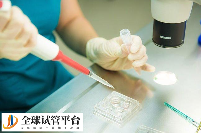 揭阳试管婴儿医院_为您实现美好家庭梦想的首选