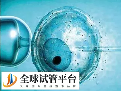 庆阳试管婴儿成功率_关键因素与提高方法