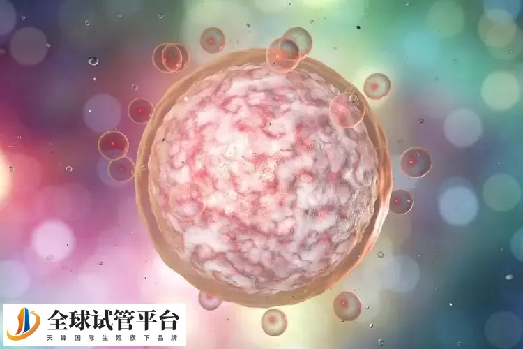 张掖试管婴儿_突破不孕难题