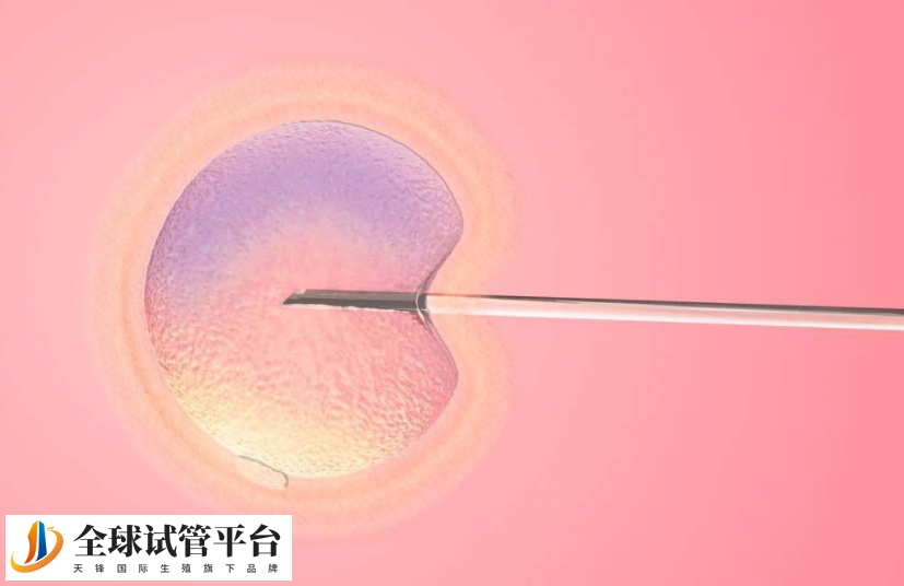 临夏州试管婴儿医院_为您圆育儿梦想