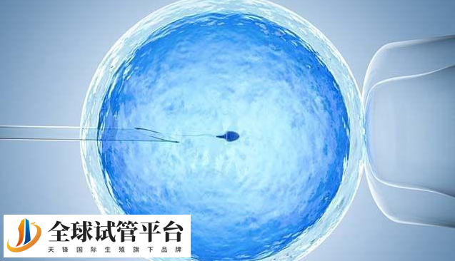 酒泉哪家医院可以做试管婴儿_一起来了解吧