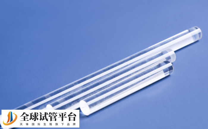 酒泉试管婴儿_为实现生育梦想的希望之光