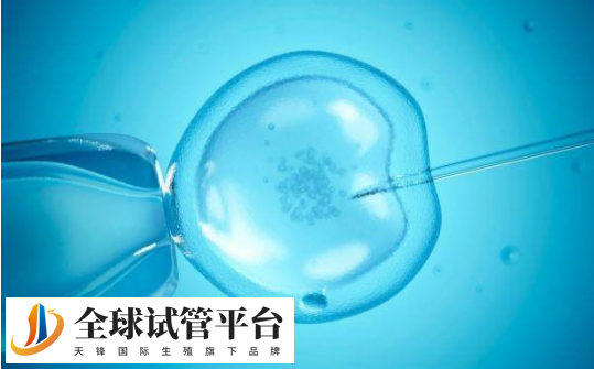 白银哪家医院可以做试管婴儿_轻松选择试管