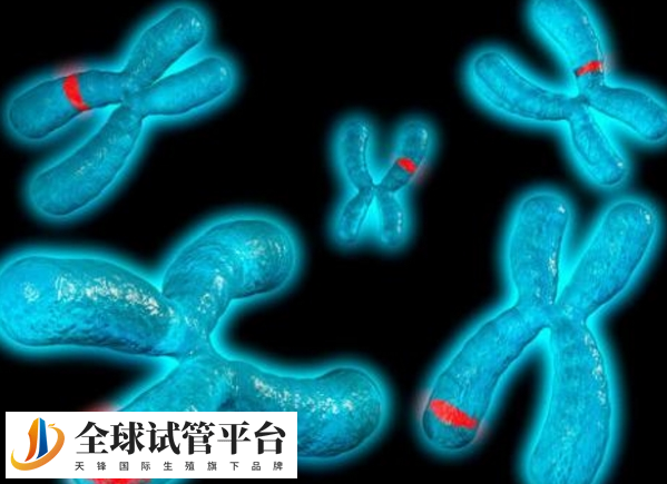 宁德第三代试管婴儿_科技带来生命的奇迹