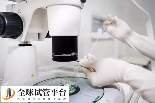 宁德试管婴儿价格揭秘_从费用到成功率一网打尽!