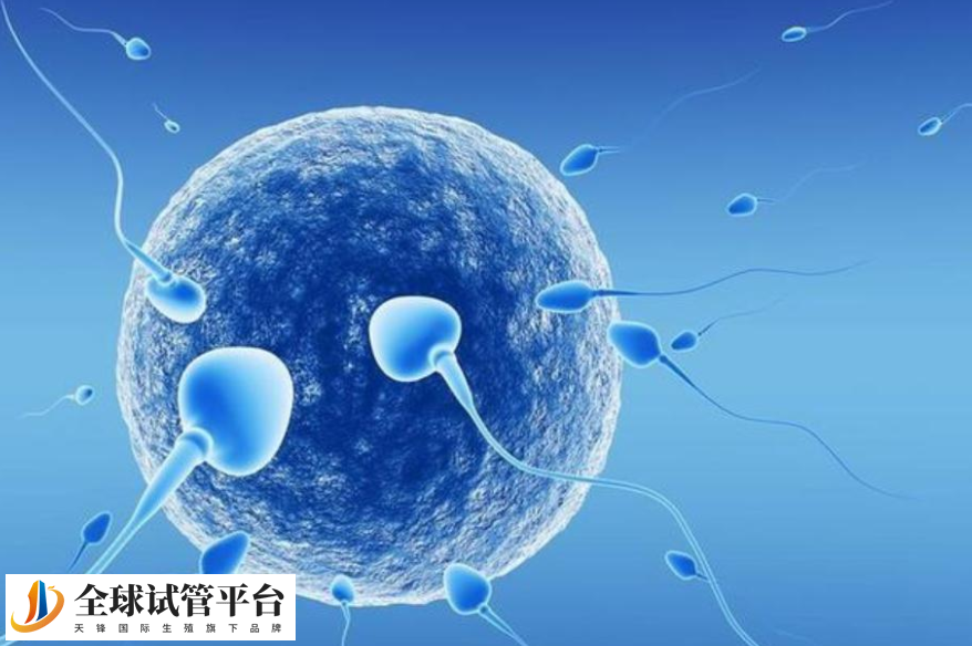 宁德试管婴儿医院_帮您实现生育梦想的专业伙伴