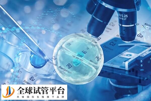 试管治疗前要调整身体健康状态