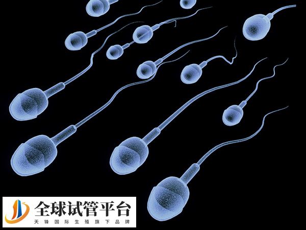 铜仁试管婴儿多少钱，附费用明细表