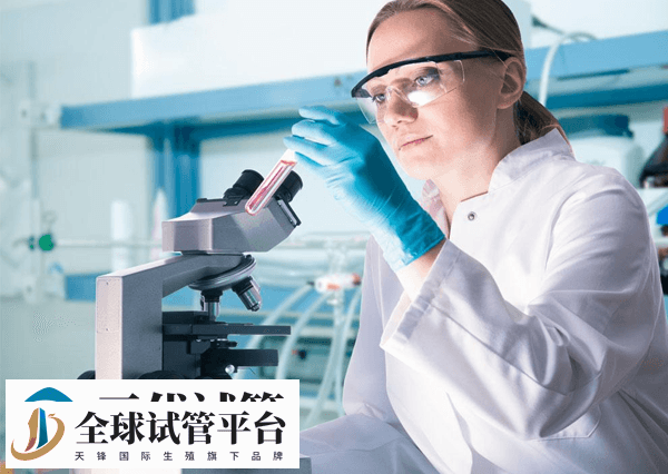 第三代试管婴儿流程、成功率、费用 可以筛查的疾病(图1)