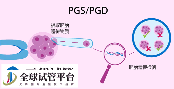 第三代试管婴儿流程、成功率、费用 可以筛查的疾病(图3)