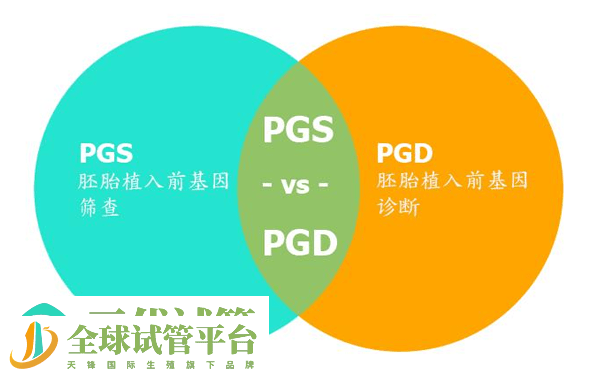 第三代试管婴儿流程、成功率、费用 可以筛查的疾病(图4)