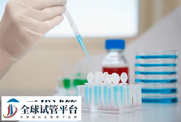 第三代试管婴儿流程、成功率、费用 可以筛查的疾病(图8)