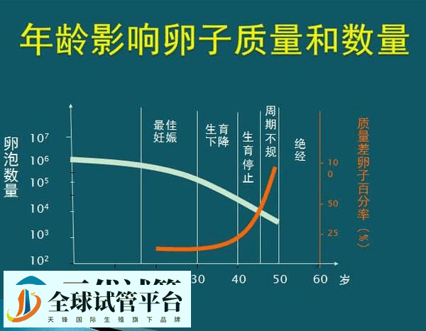 第三代试管婴儿流程、成功率、费用 可以筛查的疾病(图9)