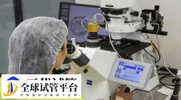 第三代试管婴儿流程、成功率、费用 可以筛查的疾病(图12)