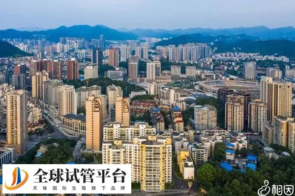 遵义试管婴儿成功率哪家高？