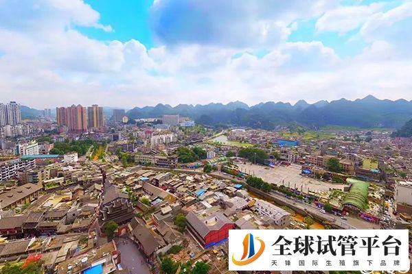 毕节试管婴儿医院成功率排行