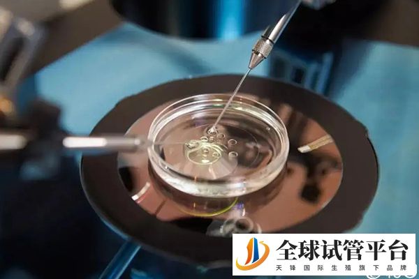 三代试管可做基因筛查