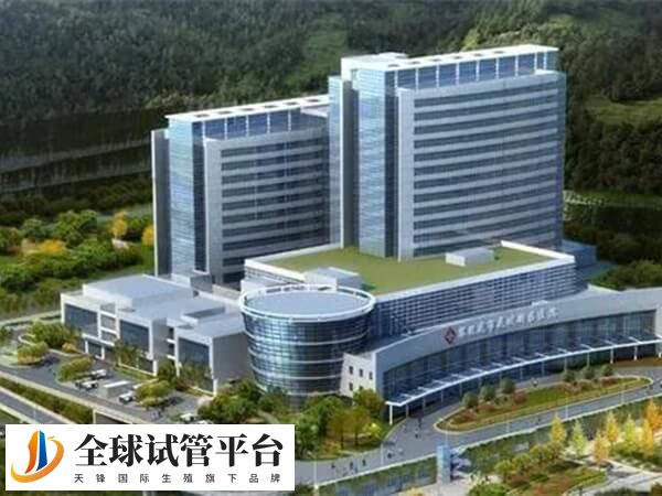 攀枝花市第三人民医院试管婴儿人工受孕费用大概多少？