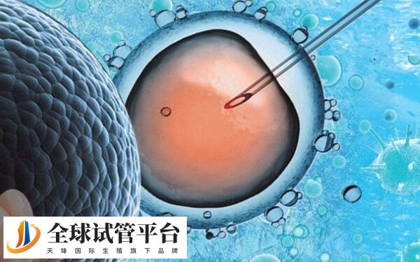 做试管婴儿越年龄越好