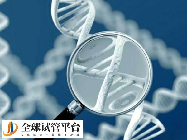 三代试管婴儿技术适合大龄夫妻