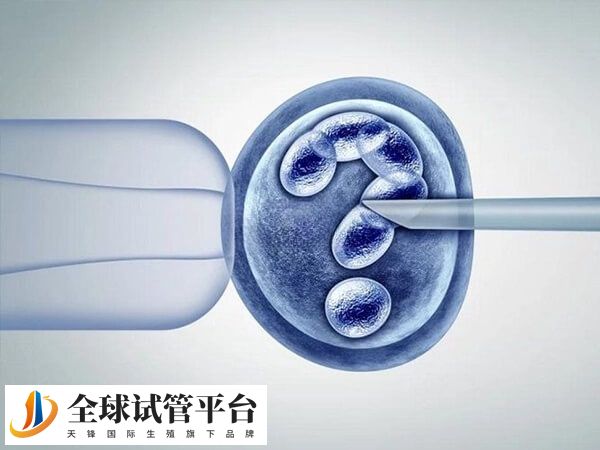 单基因疾病者可以做三代试管婴儿