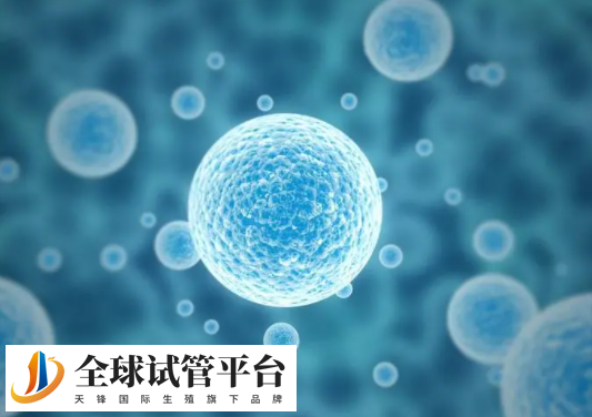 安徽省立医院试管取卵打麻醉吗？安徽省立医院做试管如何