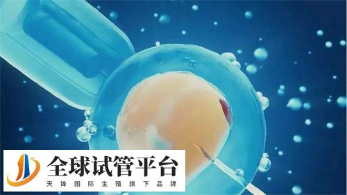 北京试管成功率高的医院TOP榜单！北京三医院试管成功率高吗