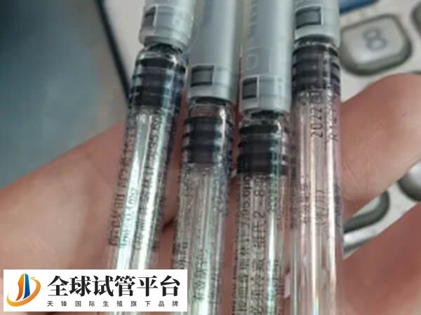 降调可抑制垂体功能