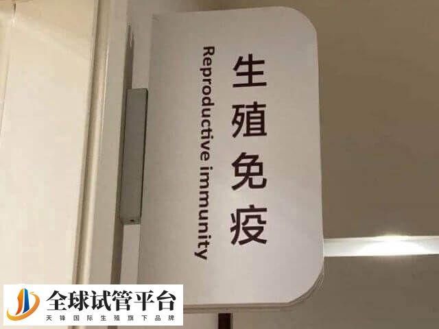 试管移植失败可能是免疫出现异常