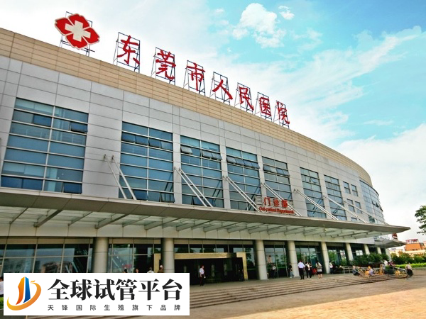 东莞人民医院试管成功率不错