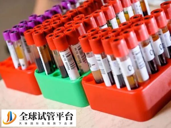 试管助孕前要进行男女方检查