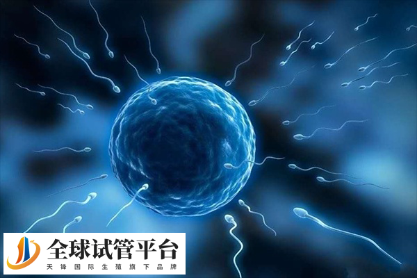 试管是一种现代辅助生殖技术