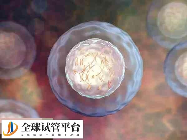 试管移植后要避免过度紧张