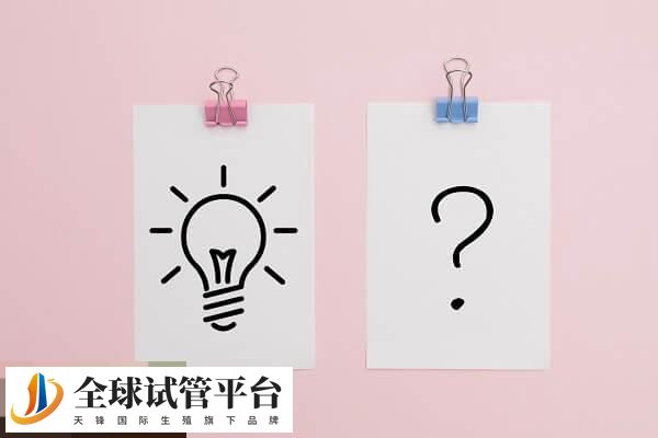 试管冻胚移植的方案怎么选?