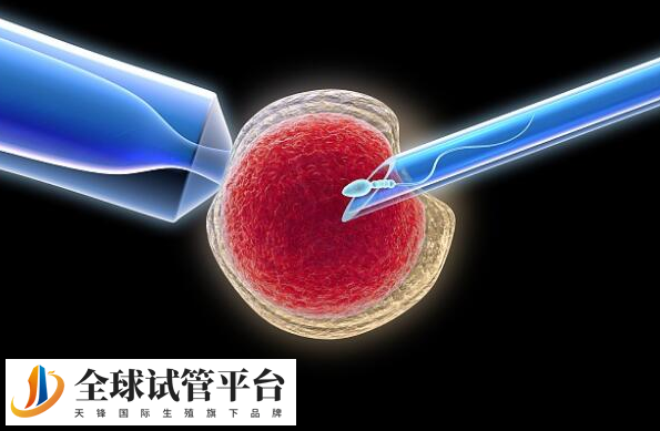 南阳市第一人民医院做试管不需要结婚证了是真的吗？