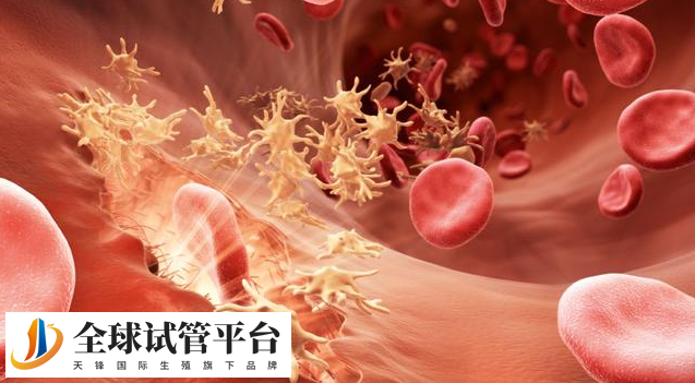 辽宁三代试管婴儿医院有哪些？看完便知如何选择