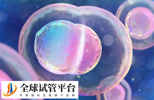 大龄去哈萨克斯坦做供卵三代试管婴儿能做吗？