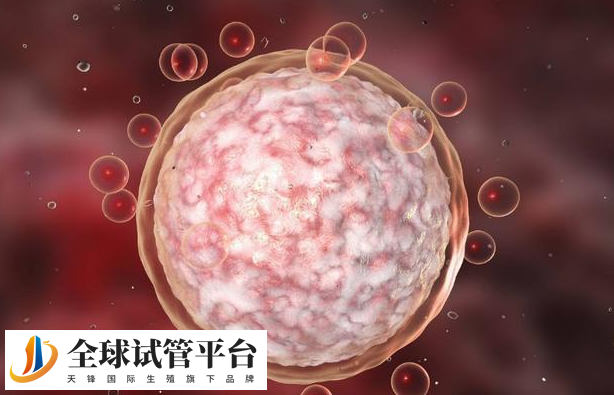 北京试管助孕婴儿费用，这份费用明细可供参考