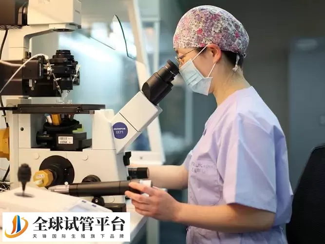 宁波医院试管哪个好？成功率与费用详情