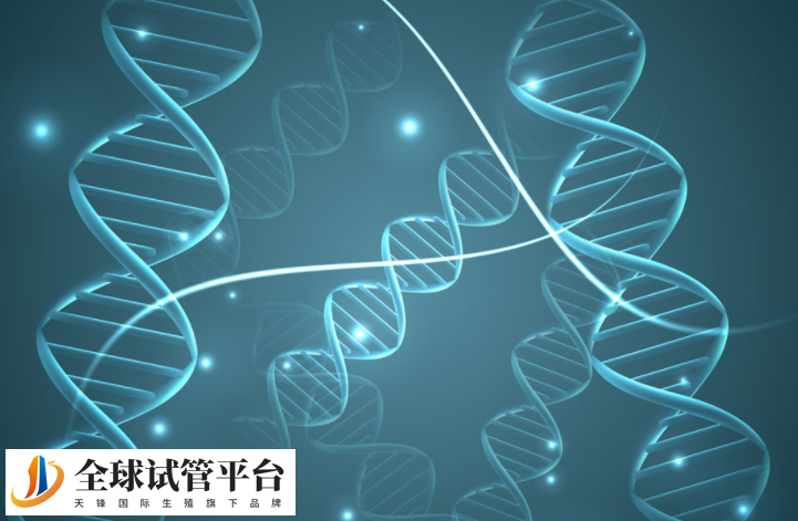 太原试管比较好私立医院做供卵试管多少钱