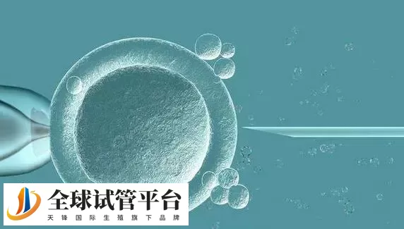 抚州三代试管婴儿医院排名已更新